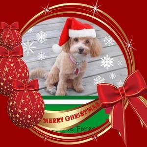 Meet your Posher, Jacqueline